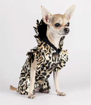 Chihuahua fashion DANDY'S STORE MADE IN ITALY LUXURY DOG 