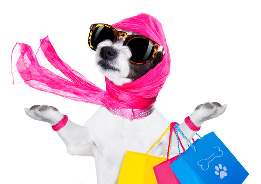 Sito web per cani che propone la Moda Italiana | Dandy's Store