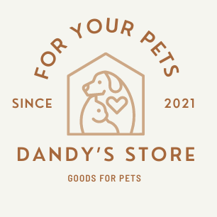 Ecco come nasce il mio progetto Dandy's Store | L'intervista online