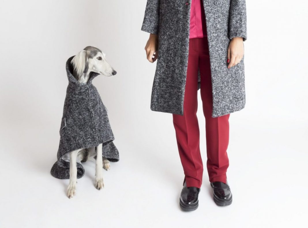 Abbigliamento per cani e umani | Dandy's Store