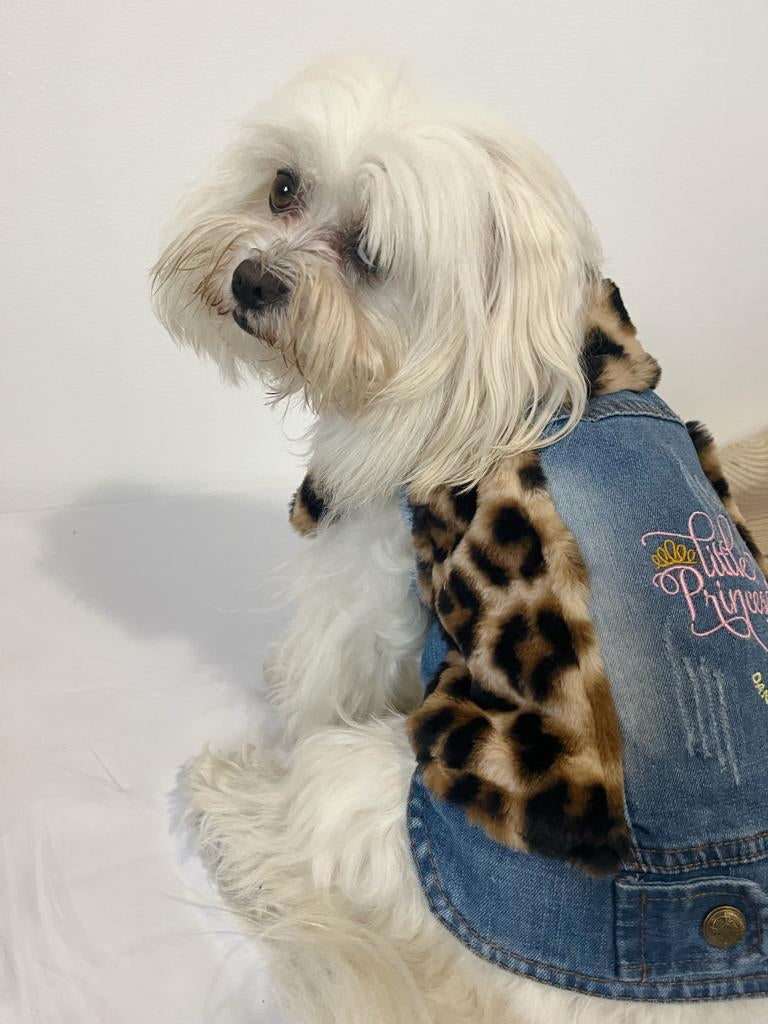 Giubbotto Jeans per cani | eco-pelliccia | Dandy's Store