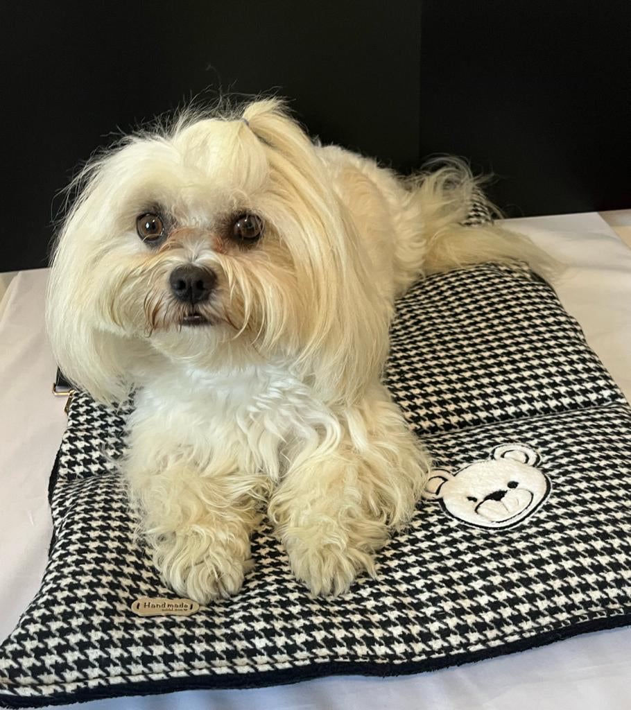 Dog travel mat/kennel | roll-up mattress | Dandy's Store