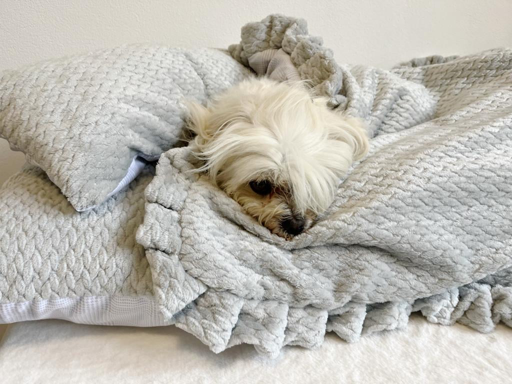 Completo letto/cuccia notte per cani | Dandy’s Store