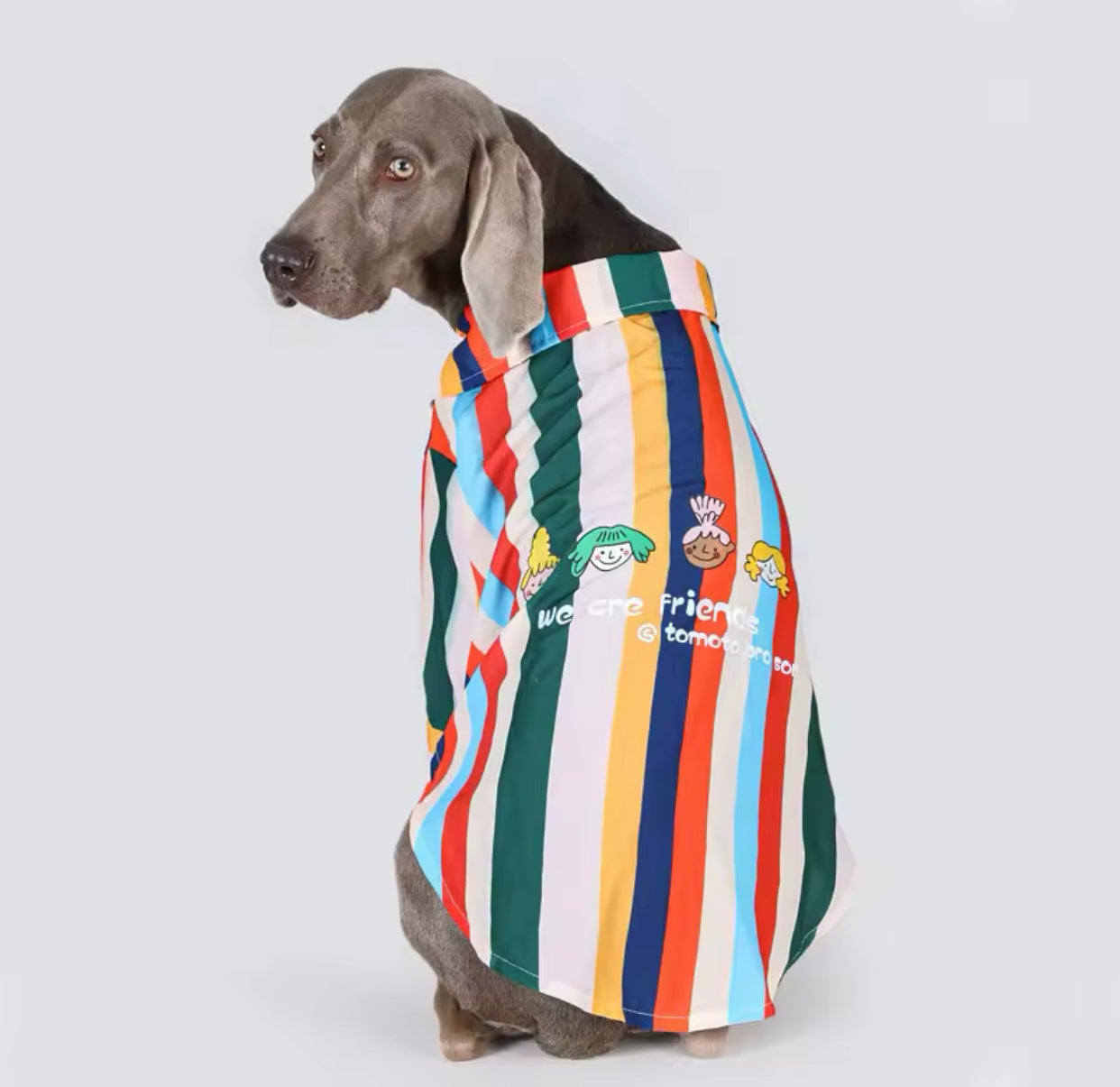 Camicia in cotone a righe per cani di grandi dimensioni. Abbigliamento chic di lusso per cani di taglia grande.