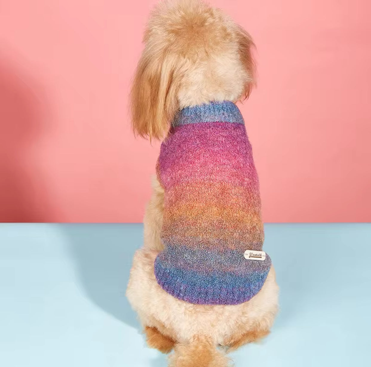 Maglione per cani colorato morbido e traspirante