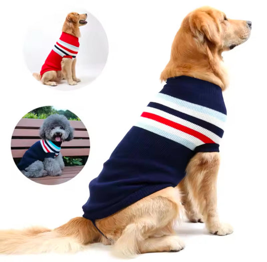 Maglione per cani | Dandy’s store