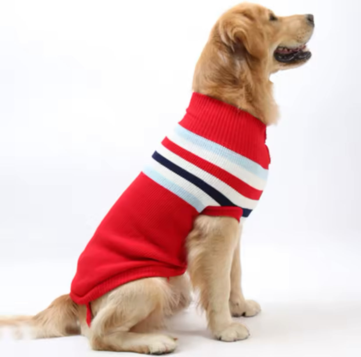 Maglione per cani | Dandy’s store