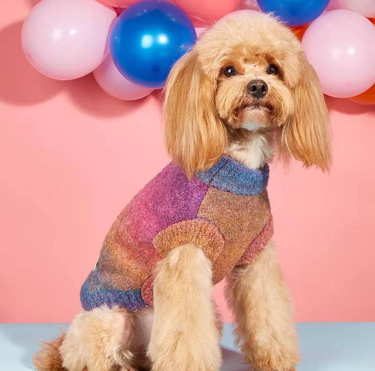 Maglione per cani colorato morbido e traspirante