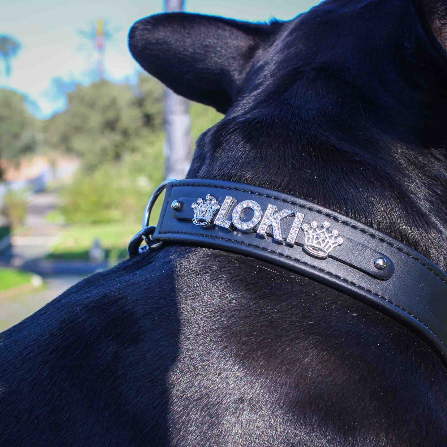 Luxury collar in Italian eco-leather for dogs customizable with name. Made in Italy.
