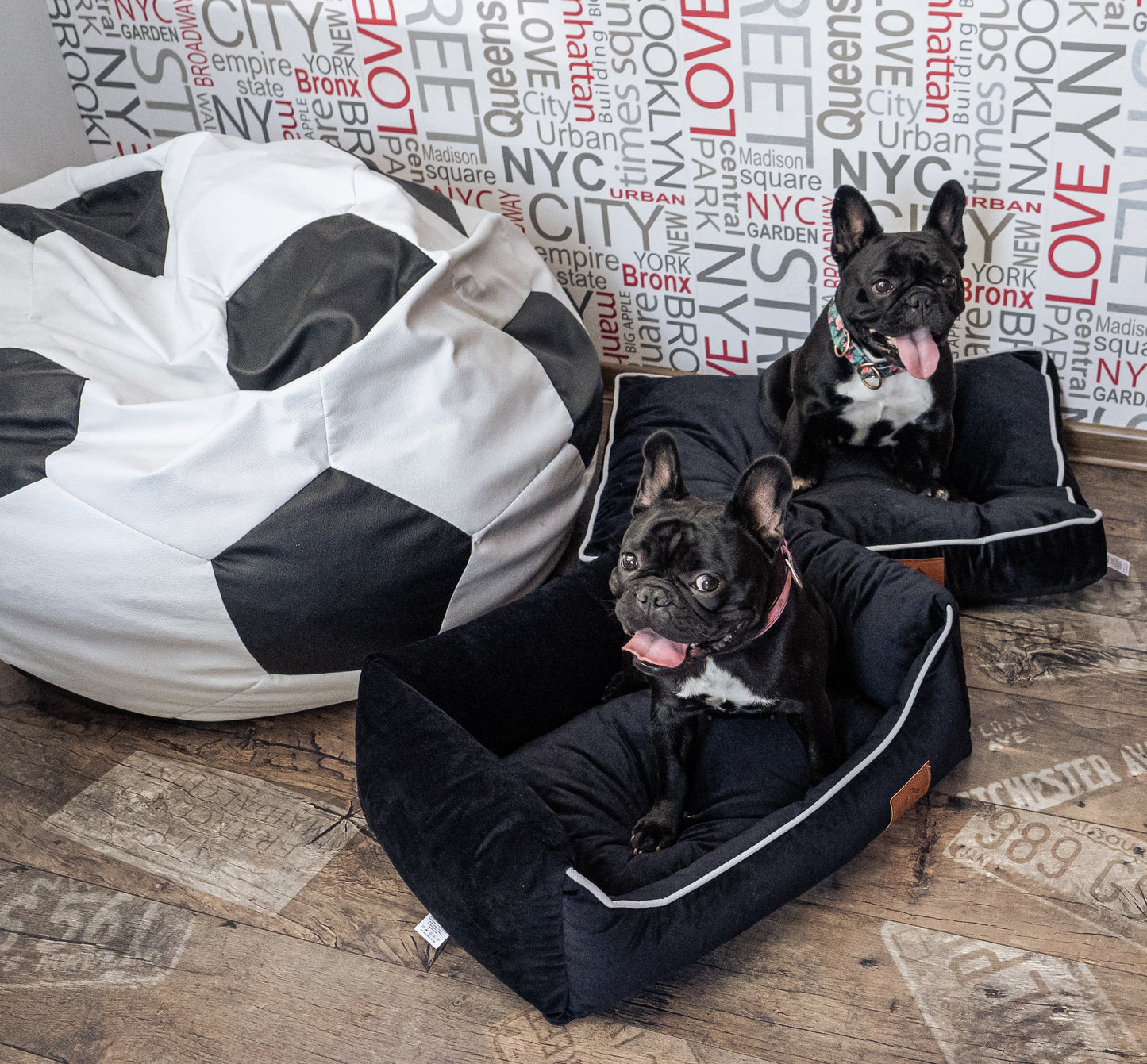 Sofa/bed/kennel with removable cover for small, medium, large and giant size dogs.