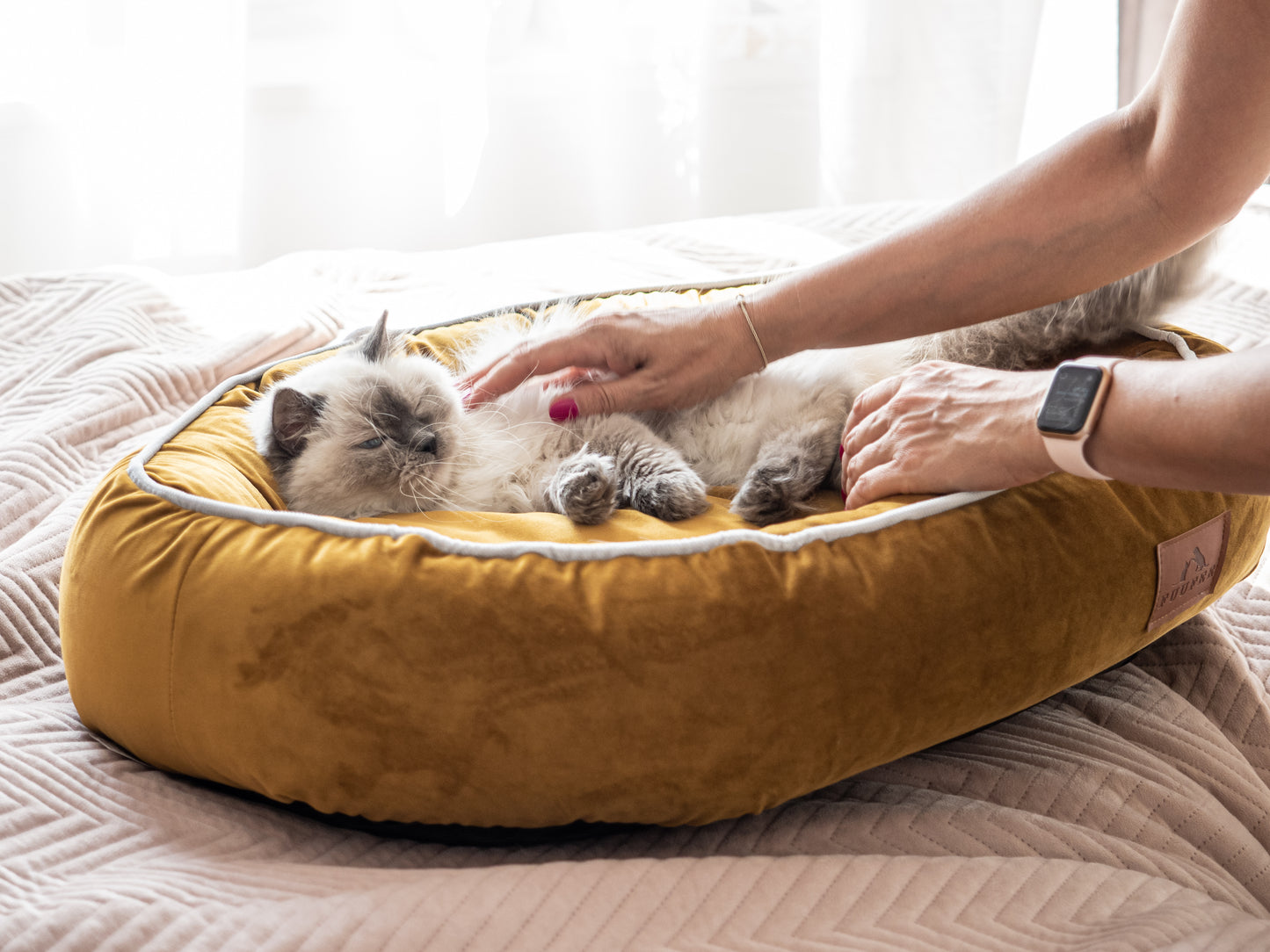 Kennel-Bed for dogs MITTO. Completely removable. Handmade by professional tailors.