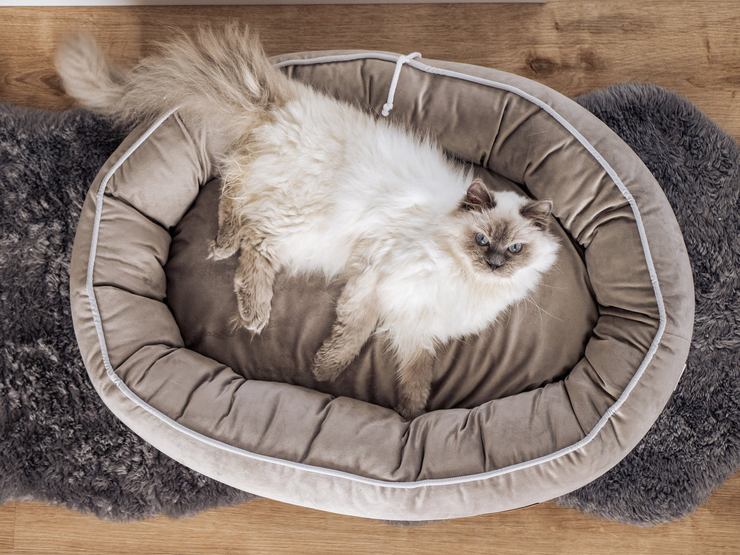 Kennel-Bed for dogs MITTO. Completely removable. Handmade by professional tailors.