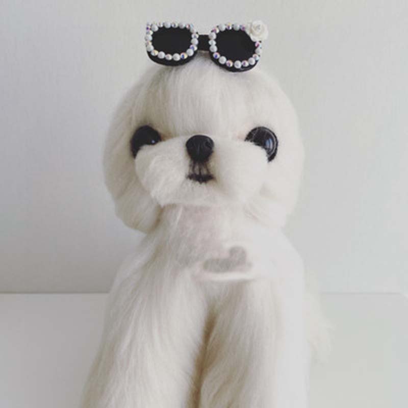 Handmade clip-on glasses for dogs, cats and pets.