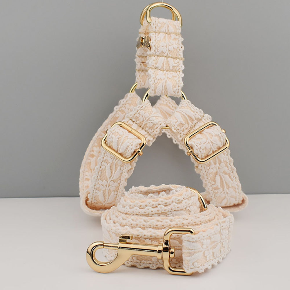 Elegant thick harness with lace leash. Luxury accessories for dogs, cats and pets.