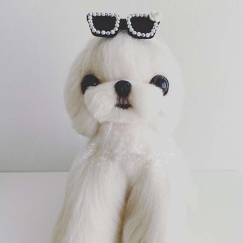 Handmade clip-on glasses for dogs, cats and pets.
