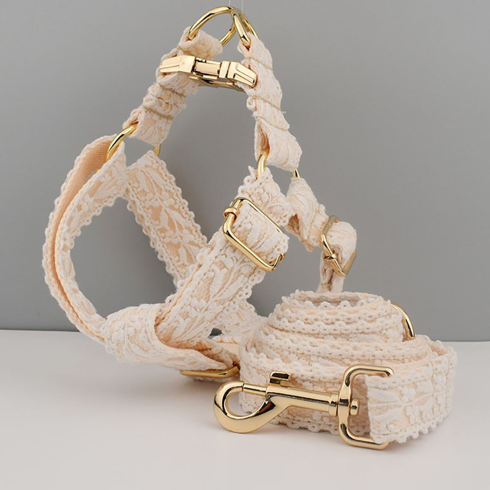 Elegant thick harness with lace leash. Luxury accessories for dogs, cats and pets.