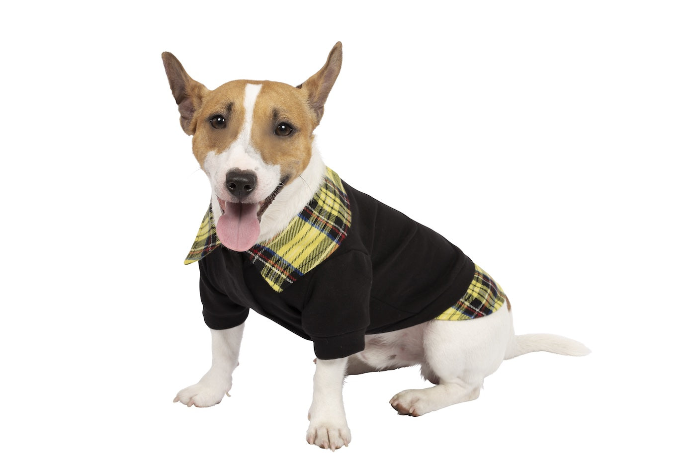 Blade - Sweatshirt for dogs in cotton and tartan patterned pure virgin wool details.