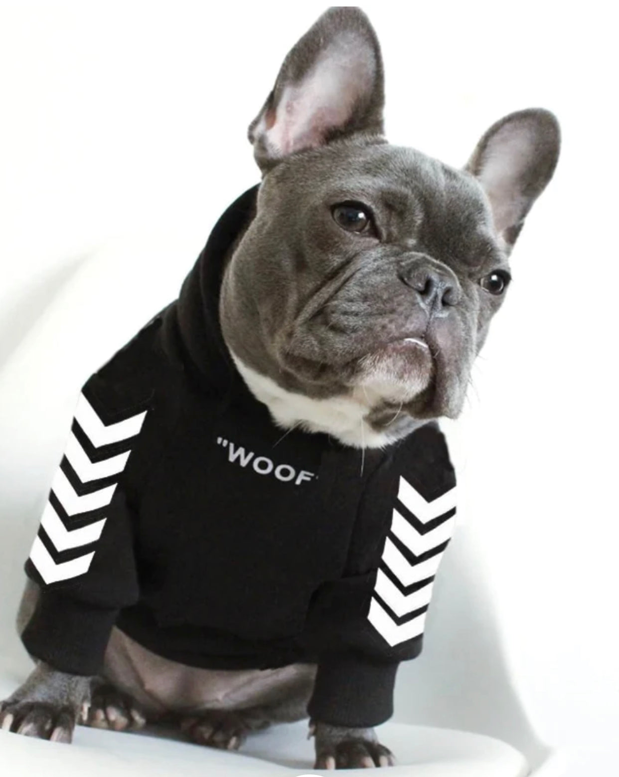 Black WOOF Super fashion hooded sweatshirt 100% cotton. Luxury chic clothing for dogs, cats and pets.