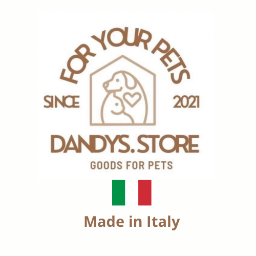 Collare gioiello per cani | Vera pelle Toscana | Dandy's Store