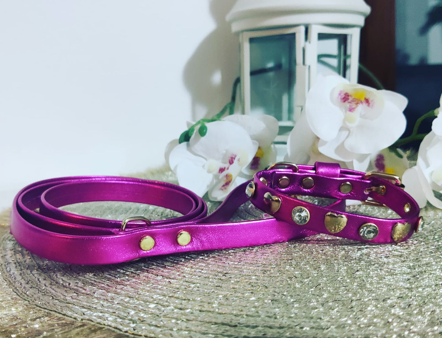 Collar Jewelry for Dogs | Handmade in Italy | Dandy's Store
