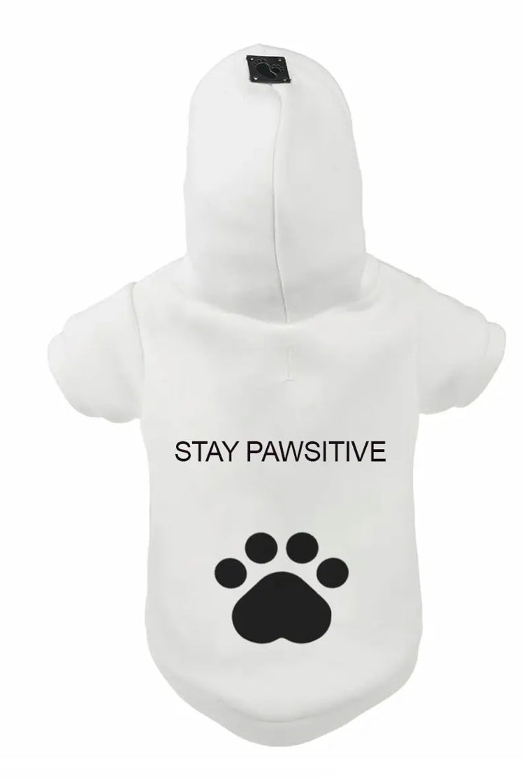 Sweatshirt in 100% cotton made in Italy with large writing on the back. Luxury clothing for your pet.