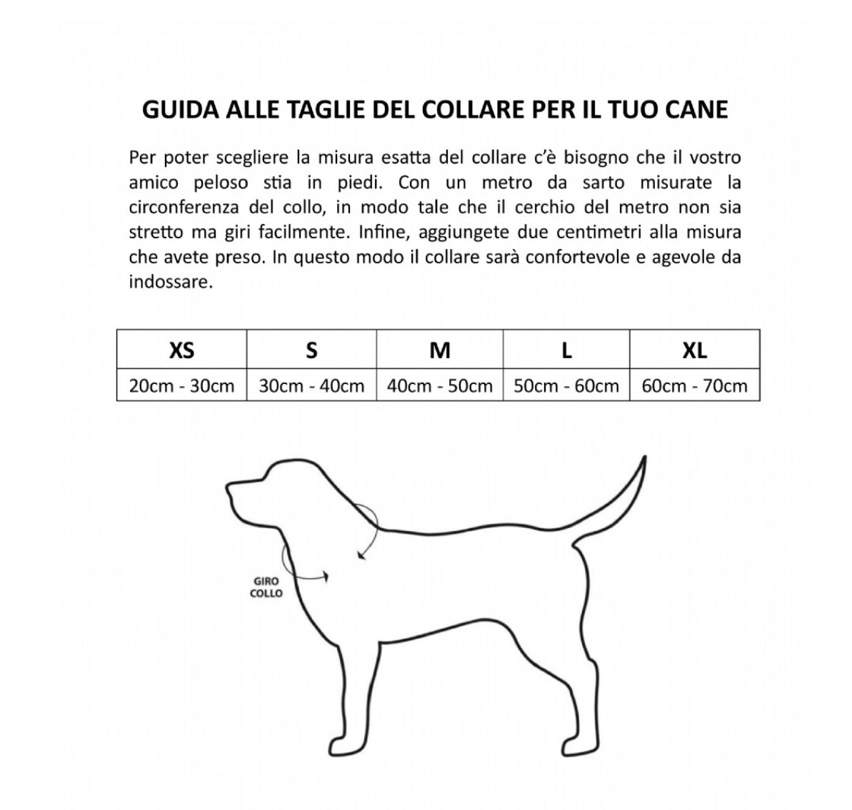 Set Lusso per Cani -Trasportino Collare Guinzaglio  | Dandy's Store