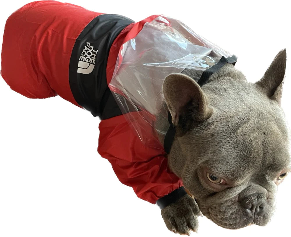 Beautiful and colorful TheDogFace 4-legged raincoat. For dogs, cats and pets.