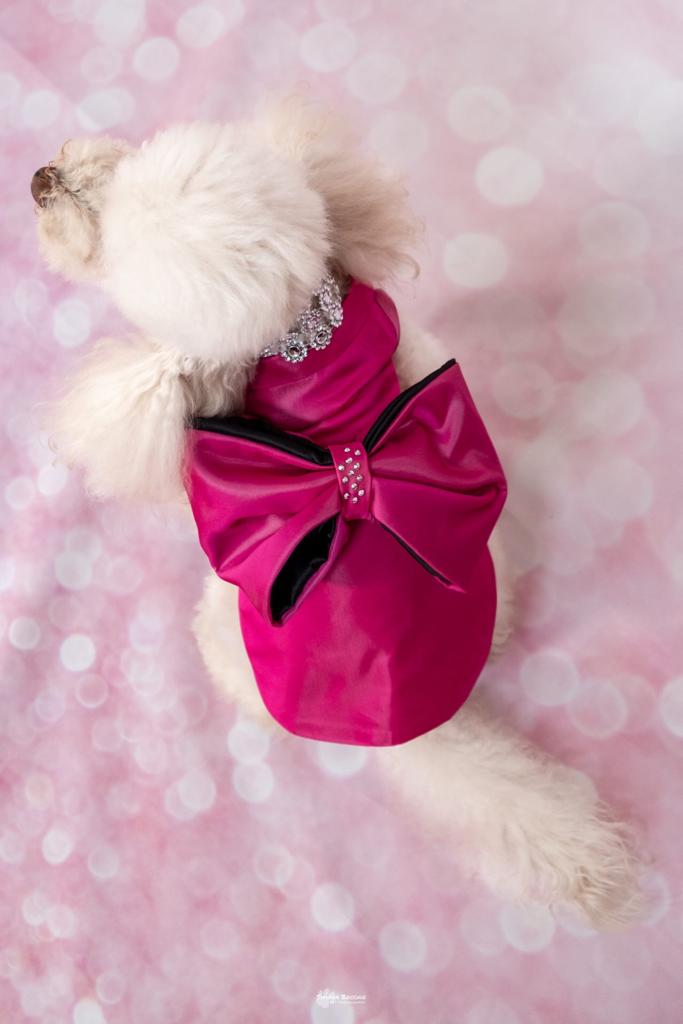 Tailored dog clothing | Marilyn Monroe | Dandy's Store