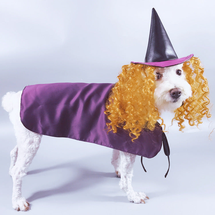 Witch costume for Pets for Horror, Halloween and Carnival themed masquerade parties.