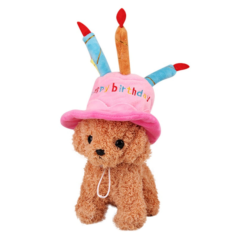 Cappello a forma di torta di compleanno . Accessori chic di lusso per cani, gatti e animali domestici.