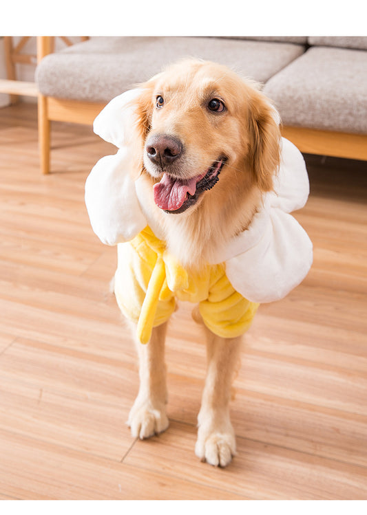 Costume da Girasole per taglie grandi e giganti! Abbigliamento chic di lusso per cani, gatti e animali domestici.