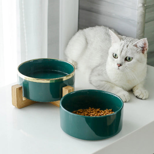 Elegant ceramic bowls with golden rim for water and baby food. Luxury chic accessories for dogs, cats and pets.