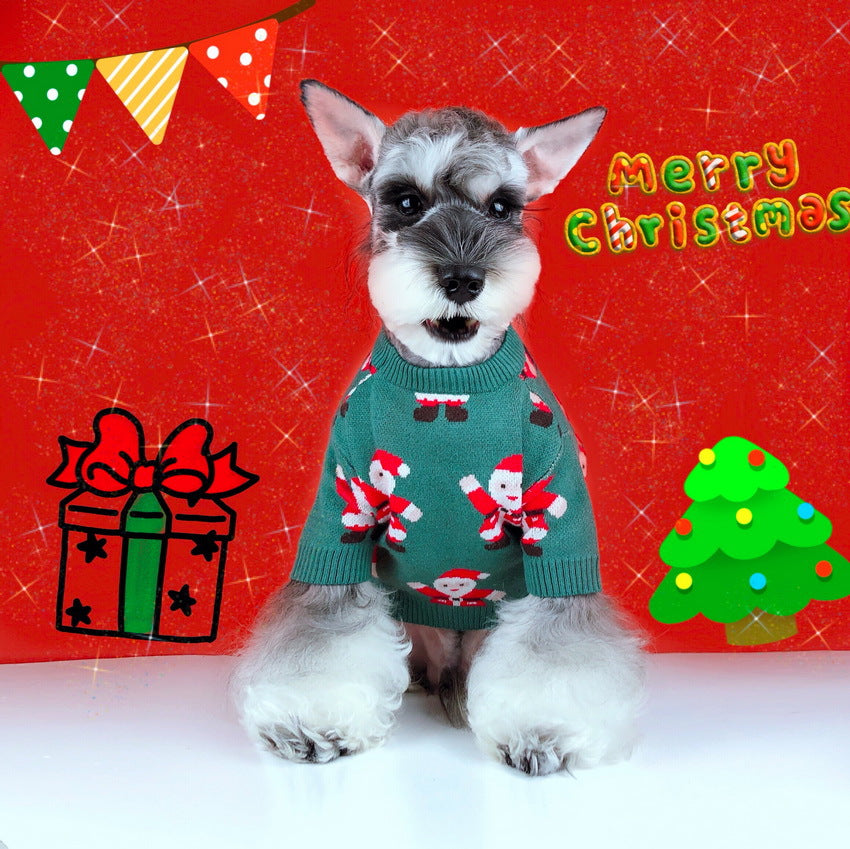Maglione di Natale allegro ed elegante. Abbigliamento chic di lusso per cani, gatti e animali domestici.