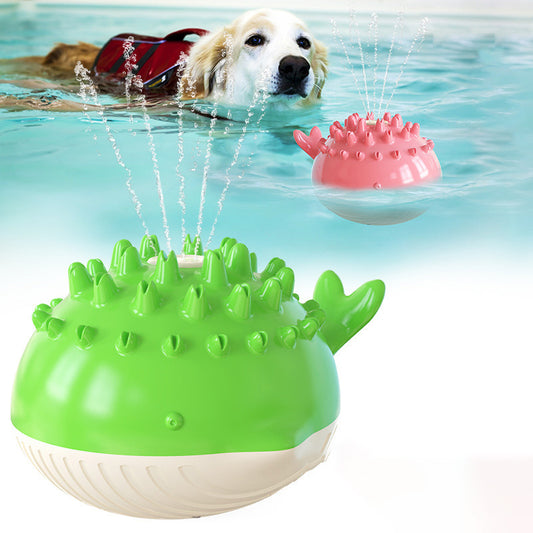 Floating game with whale-shaped fountains. Luxury chic accessories and toys for dogs, cats and pets.