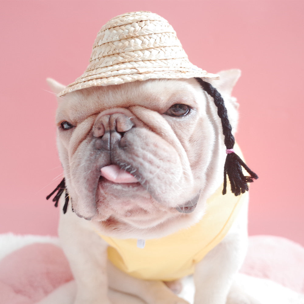 Rattan and bamboo hat with braids and colored pom poms. Luxury chic accessories and clothing for dogs, cats and pets.