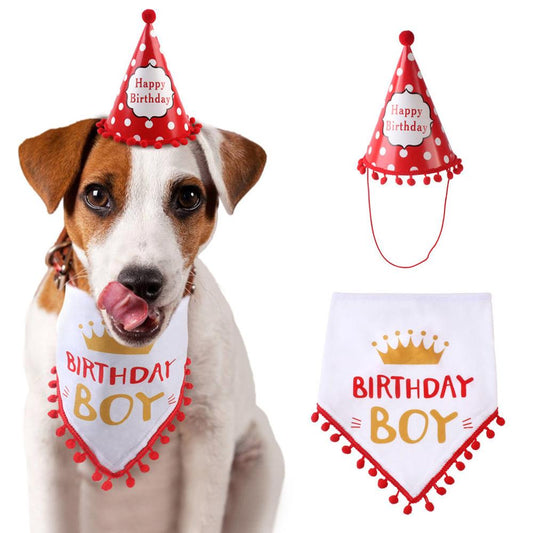 Cappello e bandana da festa di compleanno per il tuo Tesoro. Accessori chic di lusso per cani, gatti e animali domestici.