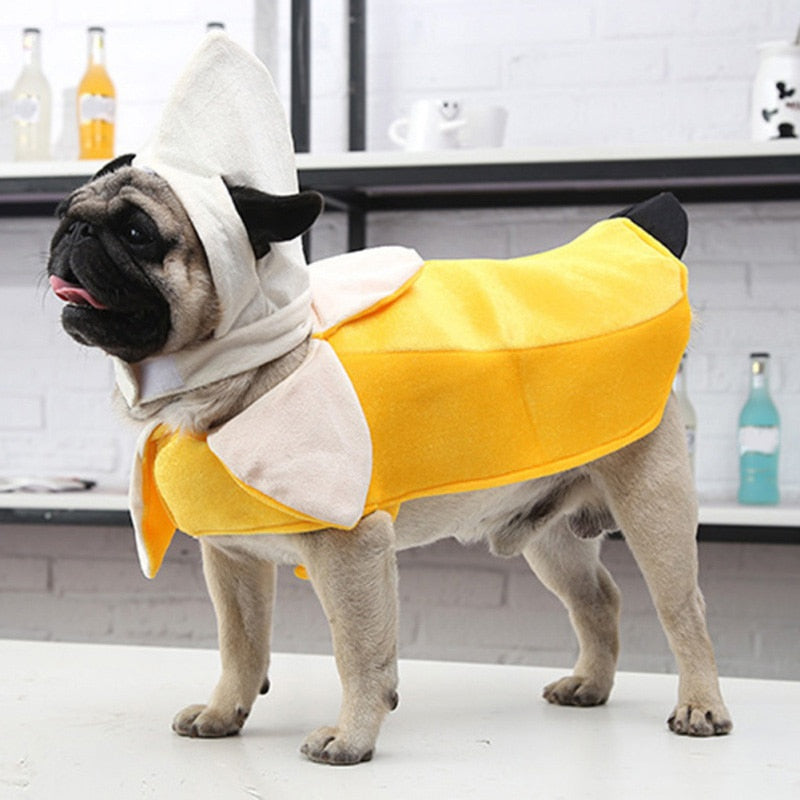 Cute Banana Pet Costume / Mask for Halloween and Carnival.