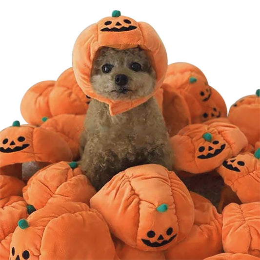 Halloween Pumpkin Hat. Masks and accessories for dogs, cats and pets.