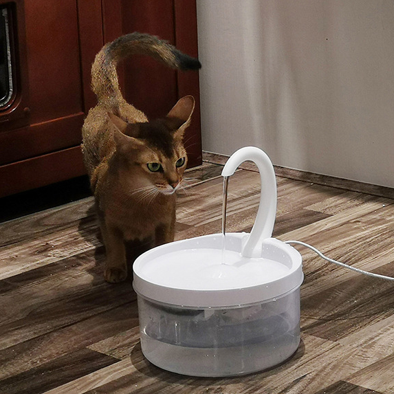 Give your cat that steady stream of water they are always looking for. Fountain with swan neck to always have running water.