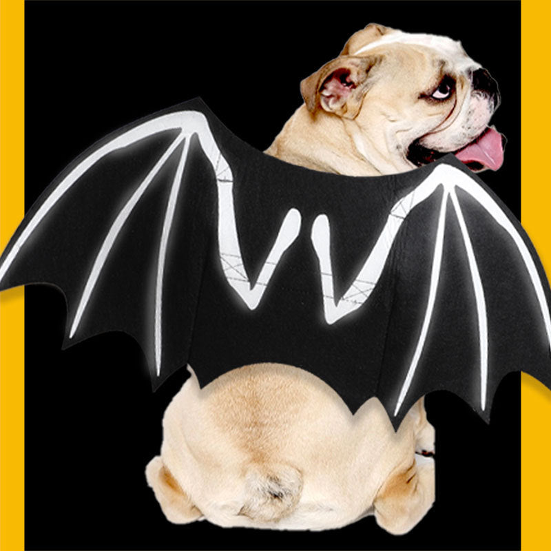 Halloween - Ali di pipistrello luminose per cani , gatti e animali domestici.