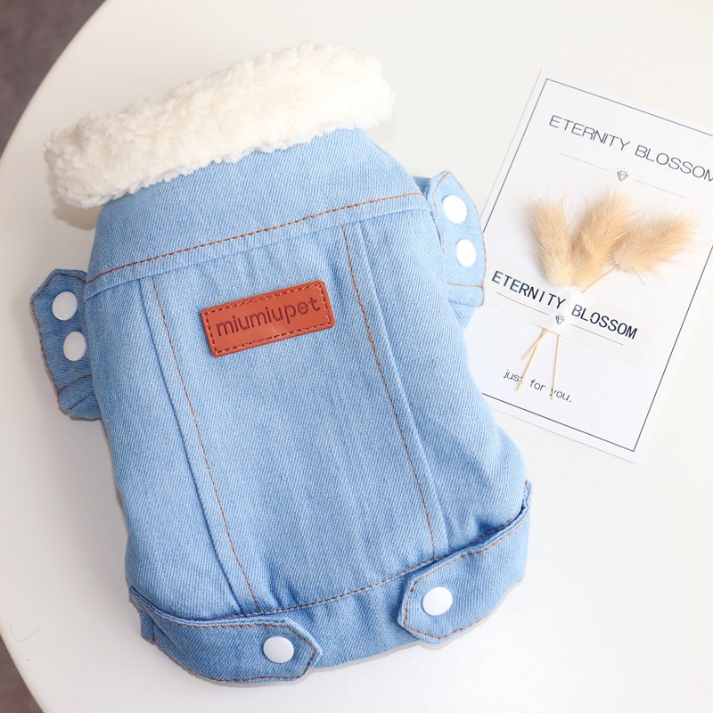 Warm and very fashionable winter denim jacket. Luxury chic clothing for dogs, cats and pets.