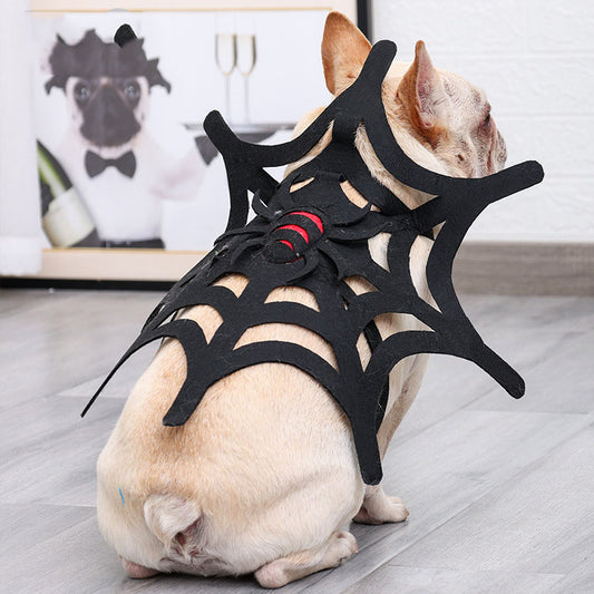 Rivisitazione della ragnatela per cane e gatti in Halloween. Accessori chic di lusso per pets.