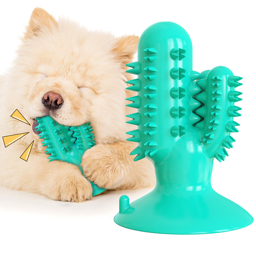 Game tooth brush to keep your teeth clean. 100% natural. Toy for medium and large dogs