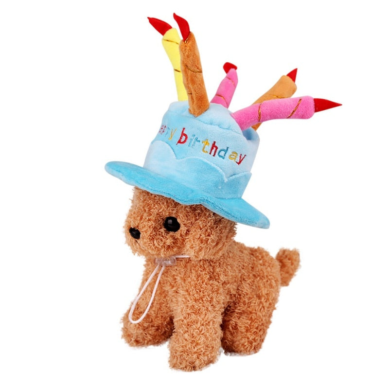 Hat in the shape of a birthday cake. Luxury chic accessories for dogs, cats and pets.