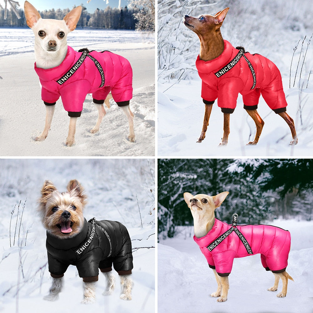 Tuta invernale per cani | imbottita super calda | Dandy's Store