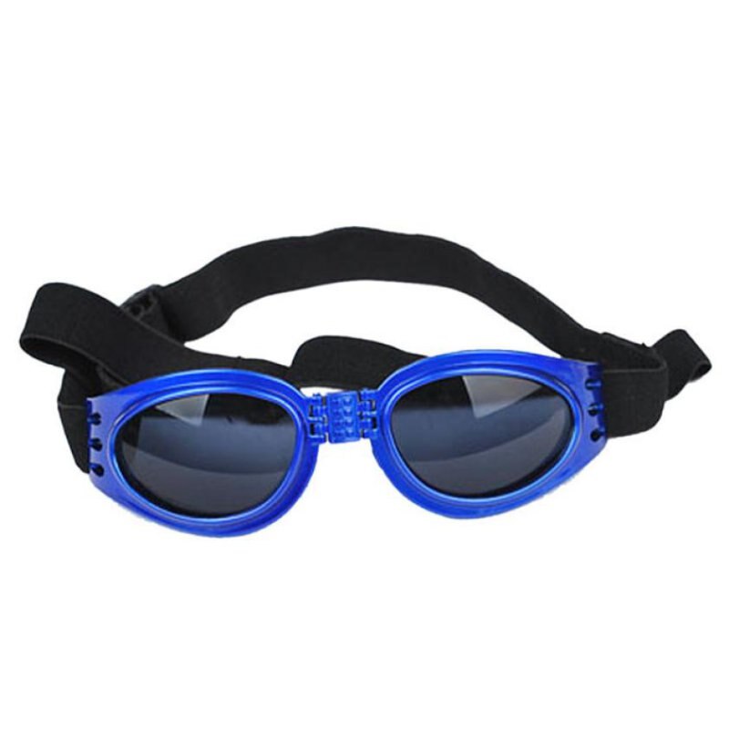 Foldable glasses ideal for riding a motorbike or bicycle. Luxury chic accessories and clothing for dogs, cats and pets.