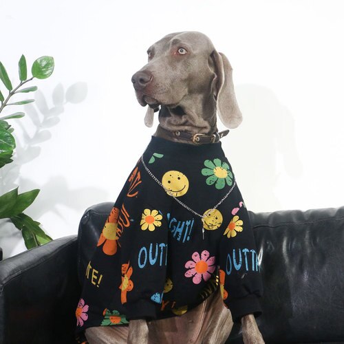 Simpatica maglia stampa a fiori per cani di taglia medio-grande.  Abbigliamento chic di lusso per cani di taglia grande.