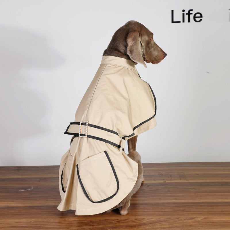 Dog windbreaker Autumn and winter elegant in British style. Luxury chic clothing for your pet.