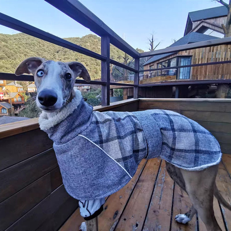 Plaid print dress for large dogs | Dandy's Store