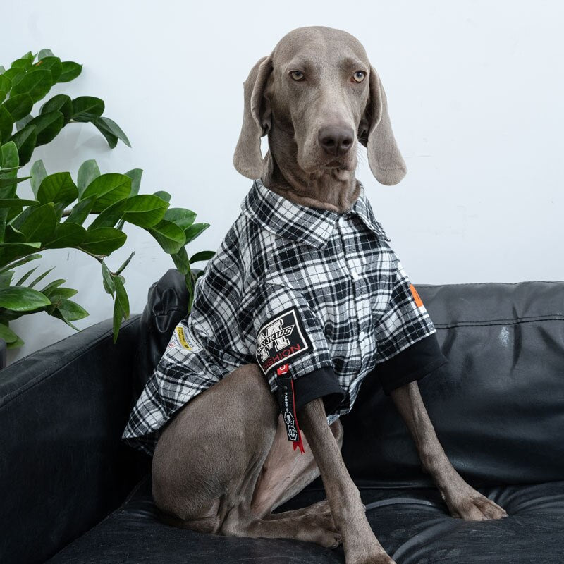 Plaid check shirt for large sizes. Luxurious chic clothing for your large pet.